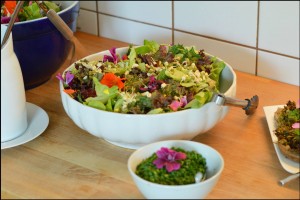 BLOG_Reisebericht-Tamanga_20