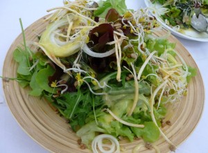 Bunter Salat mit Mangodressing